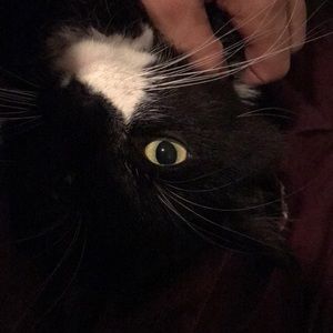 Meet your Posher, Connor